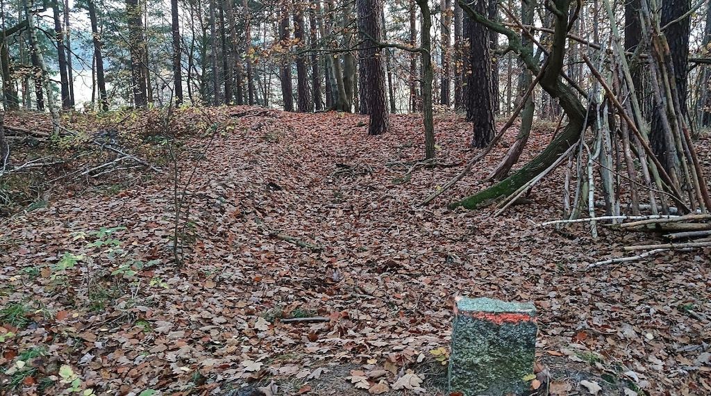 Stadtreinigung Hamburg führt neue Laubtonne ein