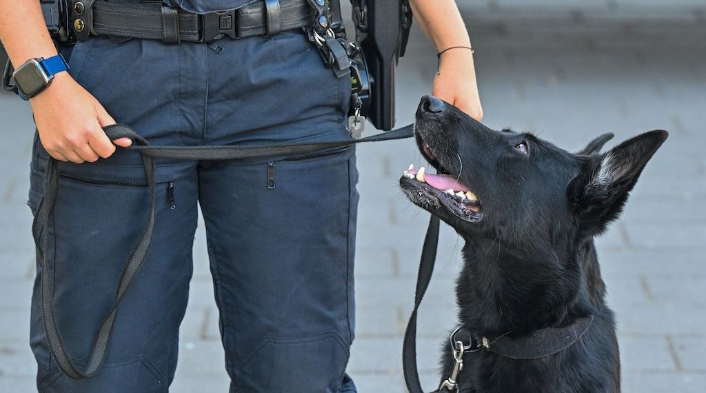 Brandenburger Polizei lädt zum Tag der offenen Tür am Standort Potsdam-Eiche ein