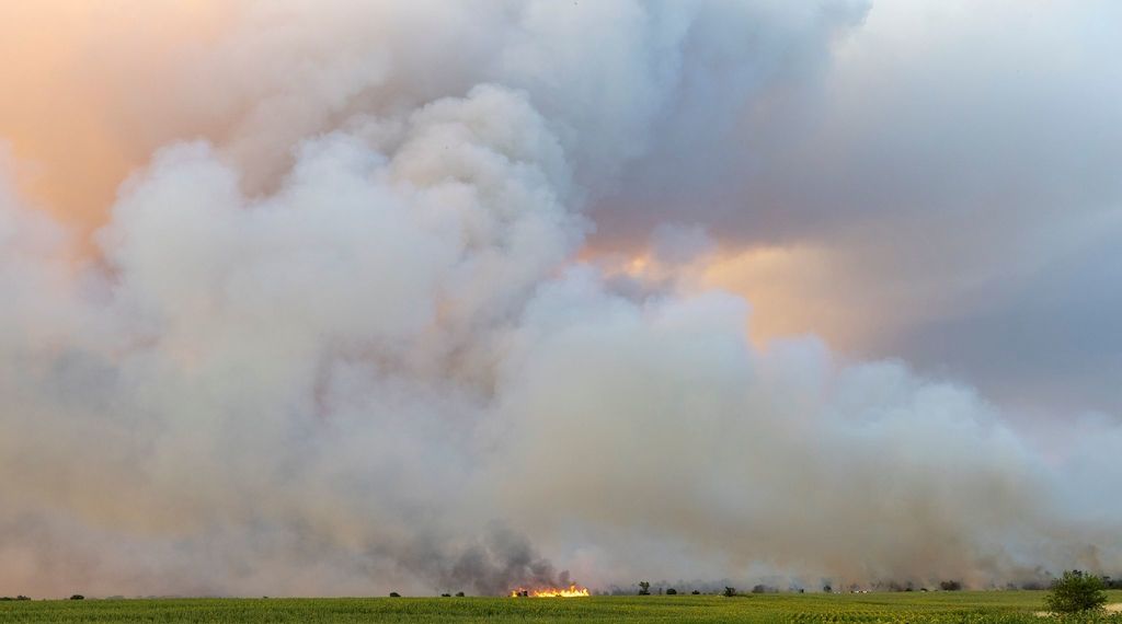 Waldbrand in der Gohrischheide ist weiterhin nicht unter Kontrolle