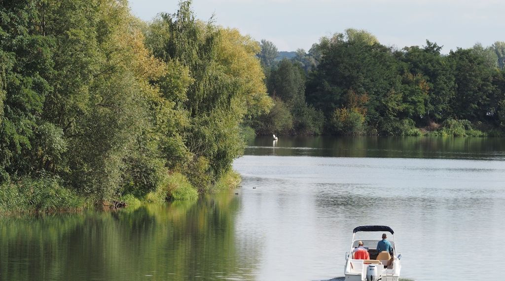 Schwimmerin stirbt in See bei Werder