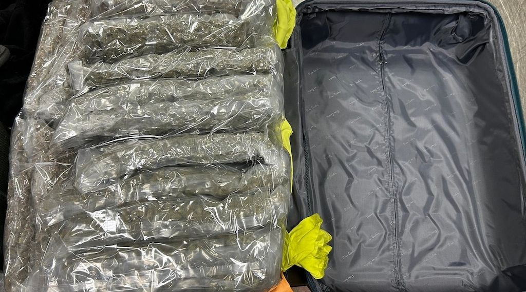 Zoll verhindert Schmuggel von 90 Kilogramm Marihuana am Hamburger Flughafen