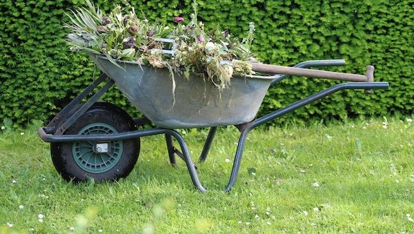 ARAG Experten: Neue Gerichtsurteile für Verbraucher