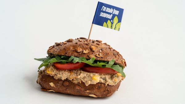 Vom Meeresgrund in die Backstube: Bäcker Wiedemann bringt Algen aufs Brötchen