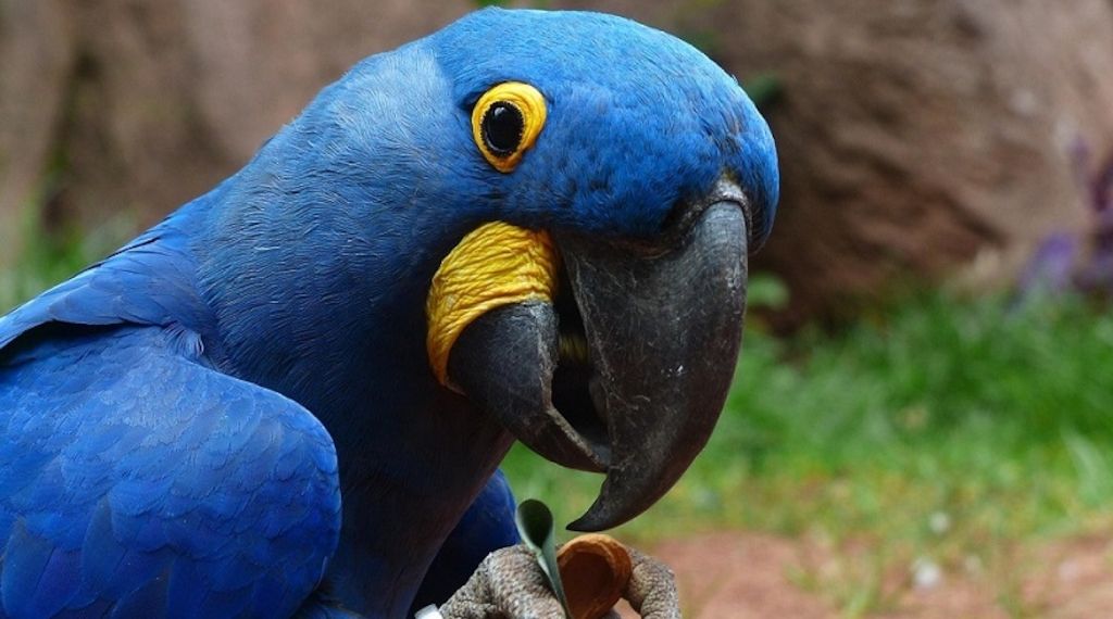Experten: Warum man im Winter in den Zoo gehen sollte
