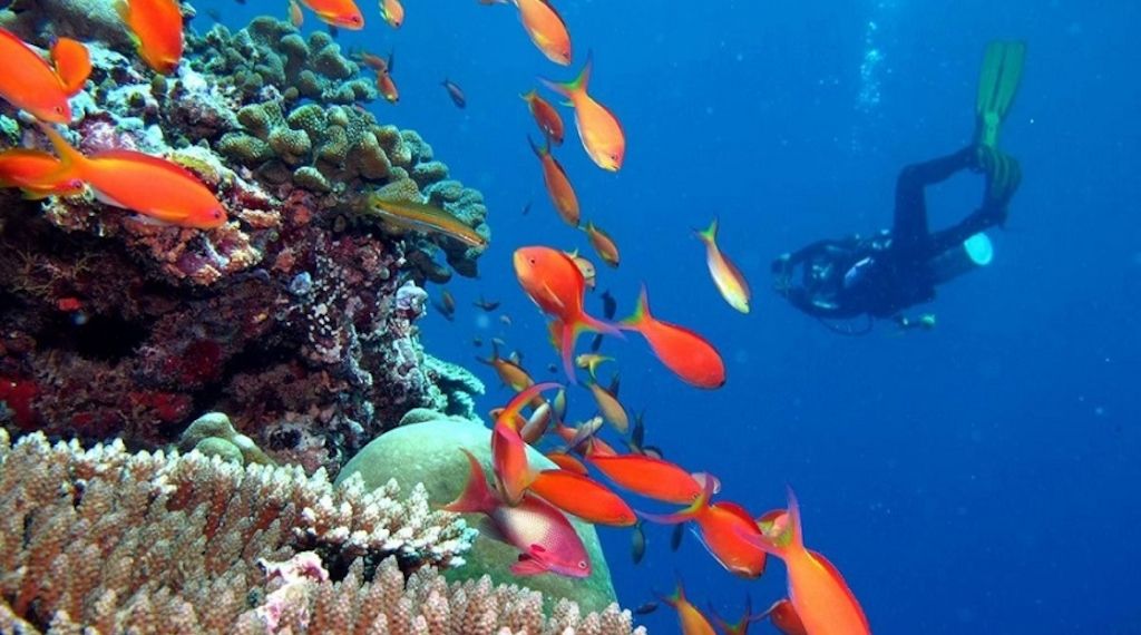 Mehr Sicherheit für Taucher im Kandima Maldives dank eigener Dekompressionskammer