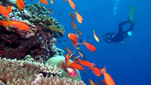 Mehr Sicherheit für Taucher im Kandima Maldives dank eigener Dekompressionskammer