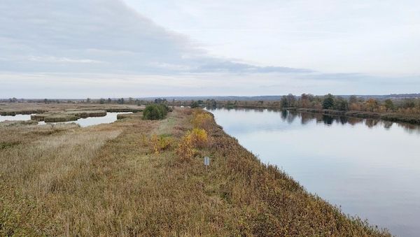 Wetterbericht für Berlin/Brandenburg (13.10.2025)