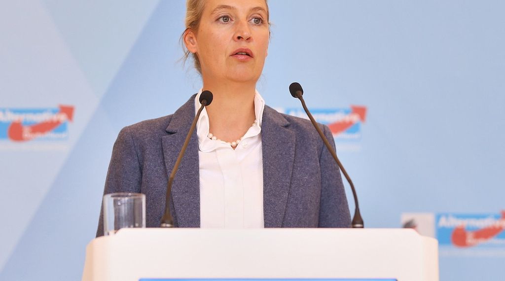 Weidel sieht CDU als künftigen Partner