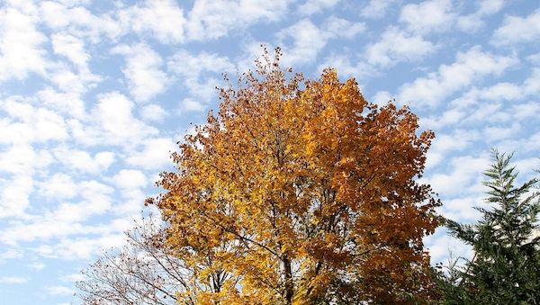 Wetterbericht für Bayern (18.10.2025)