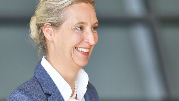 Insa: AfD erreicht neuen Höchstwert in Sonntagsfrage