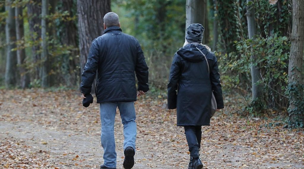 Wetterbericht für Berlin/Brandenburg (19.10.2025)