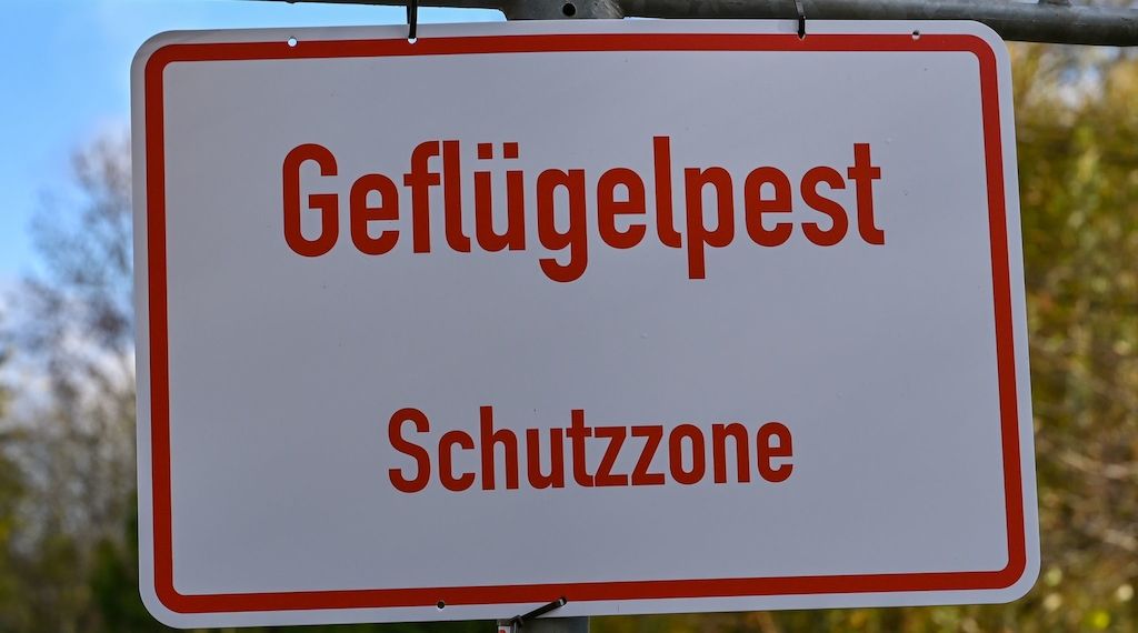 Auch im Kreis Oberhavel besteht der Verdacht auf die Geflügelpest