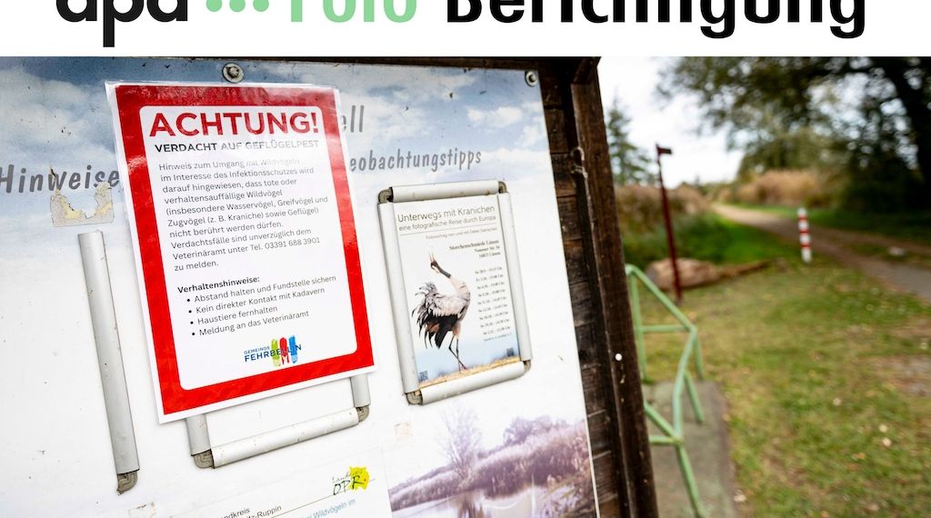 Bundesland Brandenburg erlebt beispiellosen Ausbruch der Vogelgrippe