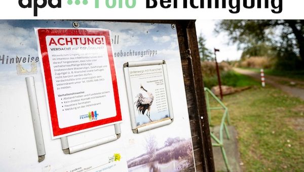 Bundesland Brandenburg erlebt beispiellosen Ausbruch der Vogelgrippe