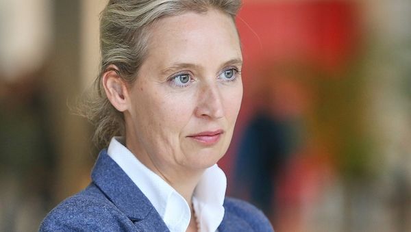 Spionagevorwürfe: Spahn fordert Aufklärung von AfD-Chefin Weidel