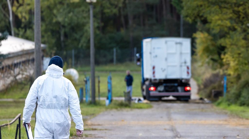Traurig: 130.000 Tiere müssen in Brandenburg getötet werden