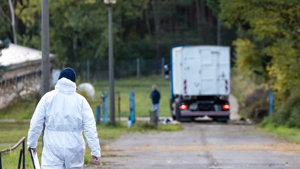 Traurig: 130.000 Tiere müssen in Brandenburg getötet werden