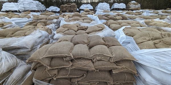 Allianz-Vorstand fordert besseren Hochwasser-Schutz