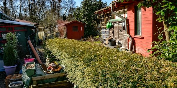 CDU will Kleingärten in Brandenburg von Grundsteuer befreien