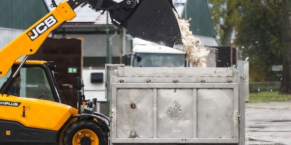 Vogelgrippe: 50.000 Hähnchen in Märkisch-Oderland getötet