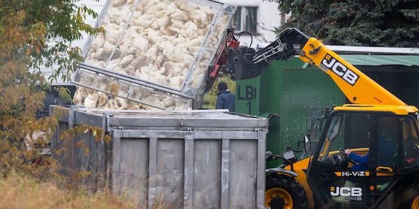 Vogelgrippe – Zoo und Tierpark Berlin in Sorge