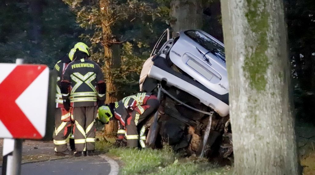 Weniger tödliche Unfälle an Straßenbäumen in Brandenburg