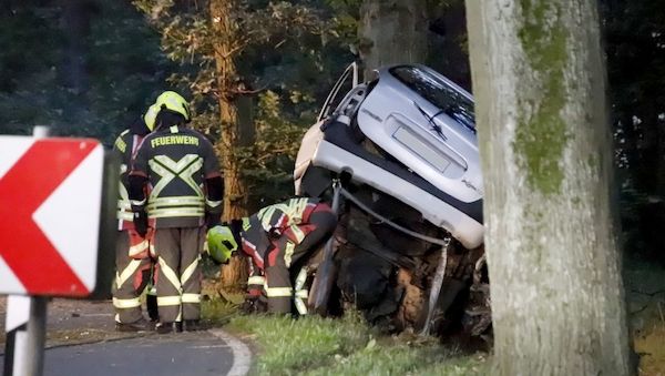 Weniger tödliche Unfälle an Straßenbäumen in Brandenburg