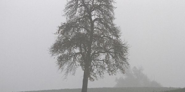 Oktober 2025 in Deutschland ungewöhnlich nass und trüb