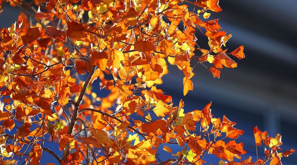 Wetterbericht für Bayern (31.10.2025)