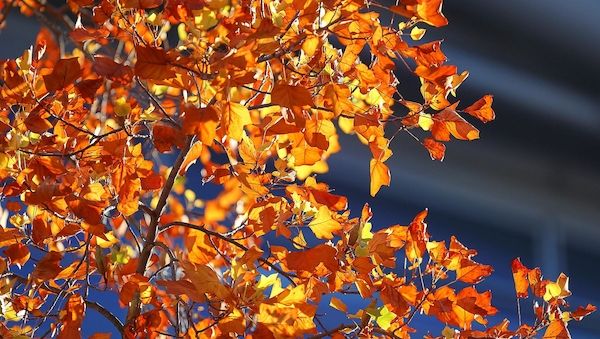 Wetterbericht für Bayern (31.10.2025)