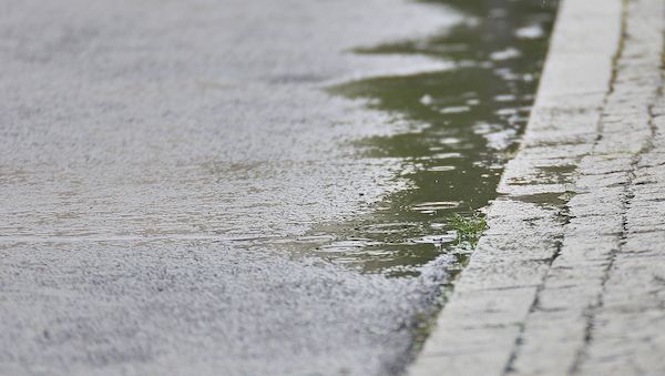 Wetterbericht für Schleswig-Holstein/Hamburg (01.11.2025)