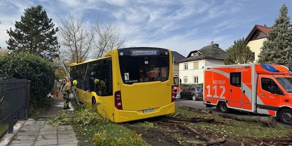 BVG-Bus kommt von Straße ab - Vier Verletzte in Berlin-Karlshorst