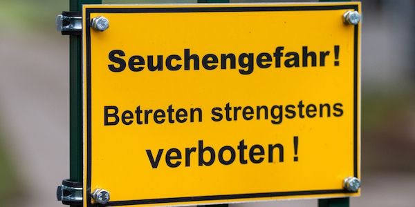 Neuer Vogelgrippe-Fall mit 10.000 Pekingenten in Märkisch-Oderland