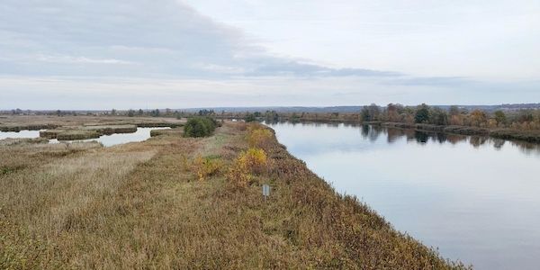 Wetterbericht für Berlin/Brandenburg (05.11.2025)
