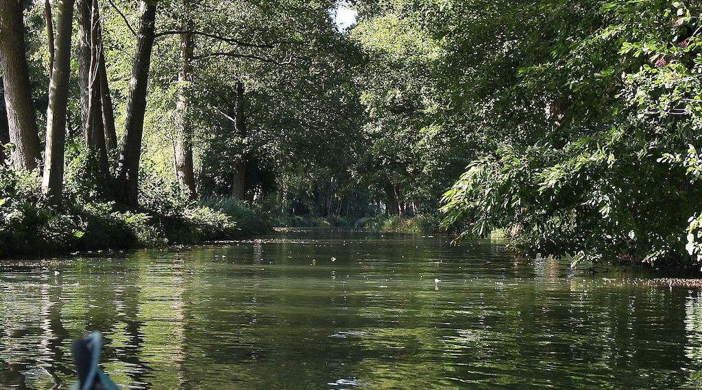 Gewässer in Berlin und Brandenburg in ökologisch kritischem Zustand