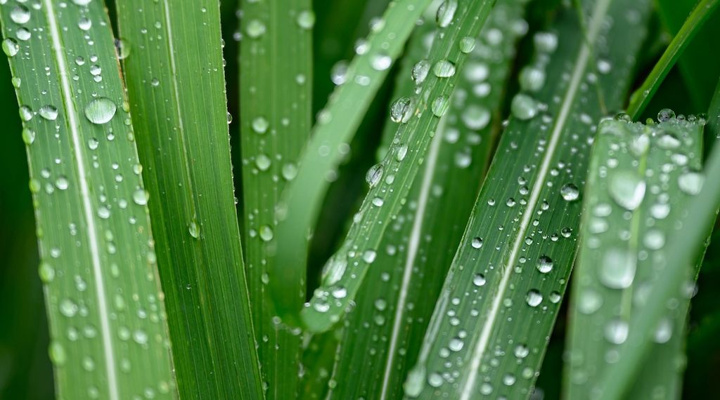 Regen, Hagel und Gewitter in Berlin und Brandenburg erwartet