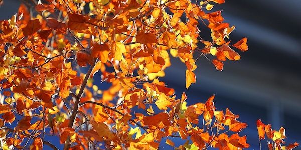 Wetterbericht für Niedersachsen/Bremen (07.11.2025)