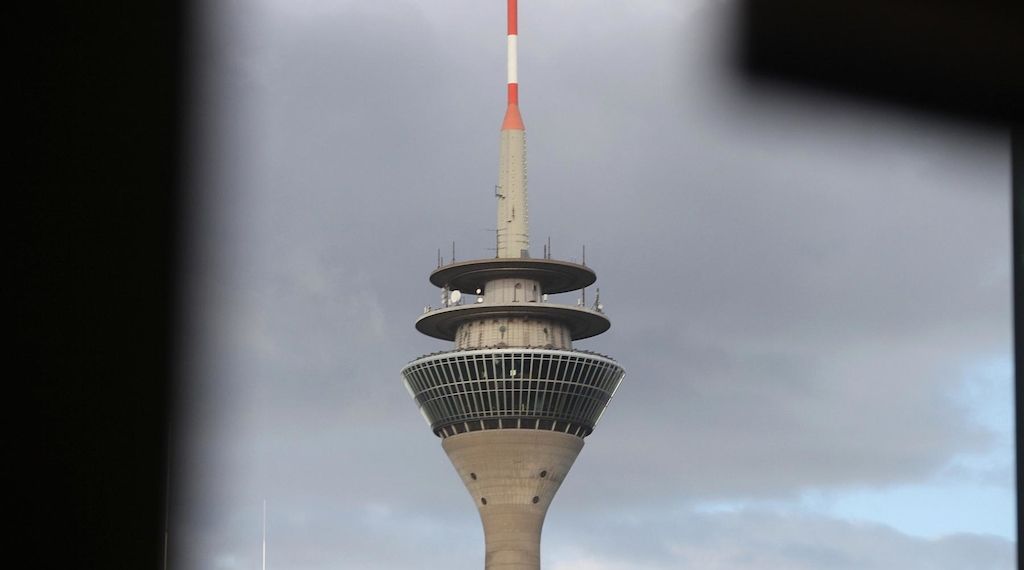 Düsseldorf fällt 140 kranke Bäume im Stadtgebiet