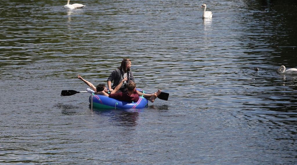 Köln plant Badeverbot im Rhein nach tödlichen Unfällen