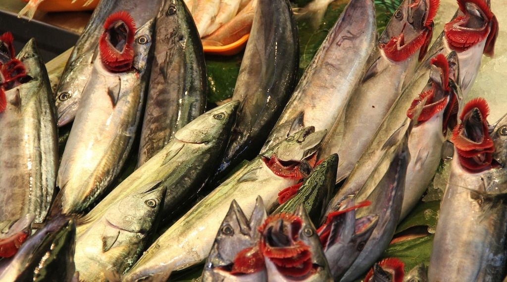 EU-Kommission legt Vorschlag für Ostsee-Fangquoten 2026 vor