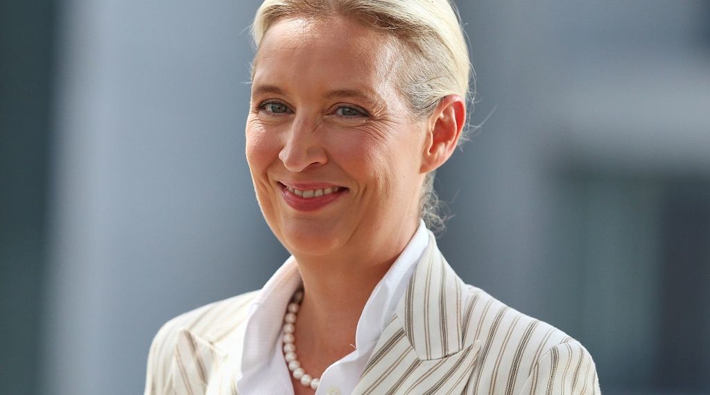 Insa: Wählerpotenzial der AfD steigt auf Rekordhoch