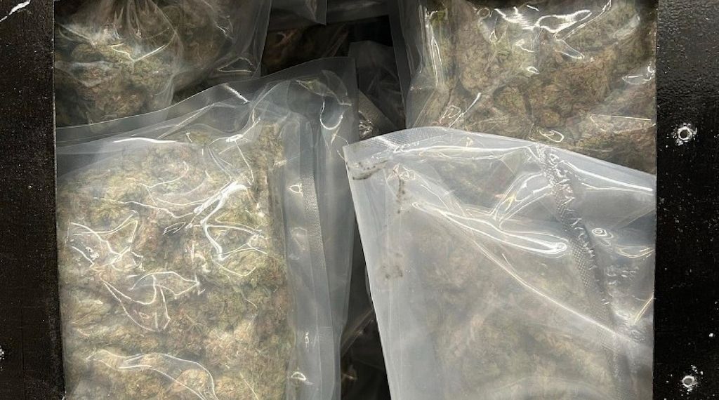 Zoll beschlagnahmt 60 Kilogramm Cannabis in Bremen