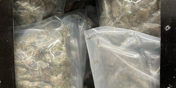 Zoll beschlagnahmt 60 Kilogramm Cannabis in Bremen