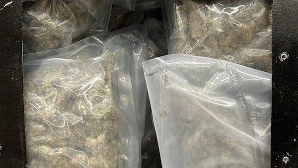 Zoll beschlagnahmt 60 Kilogramm Cannabis in Bremen