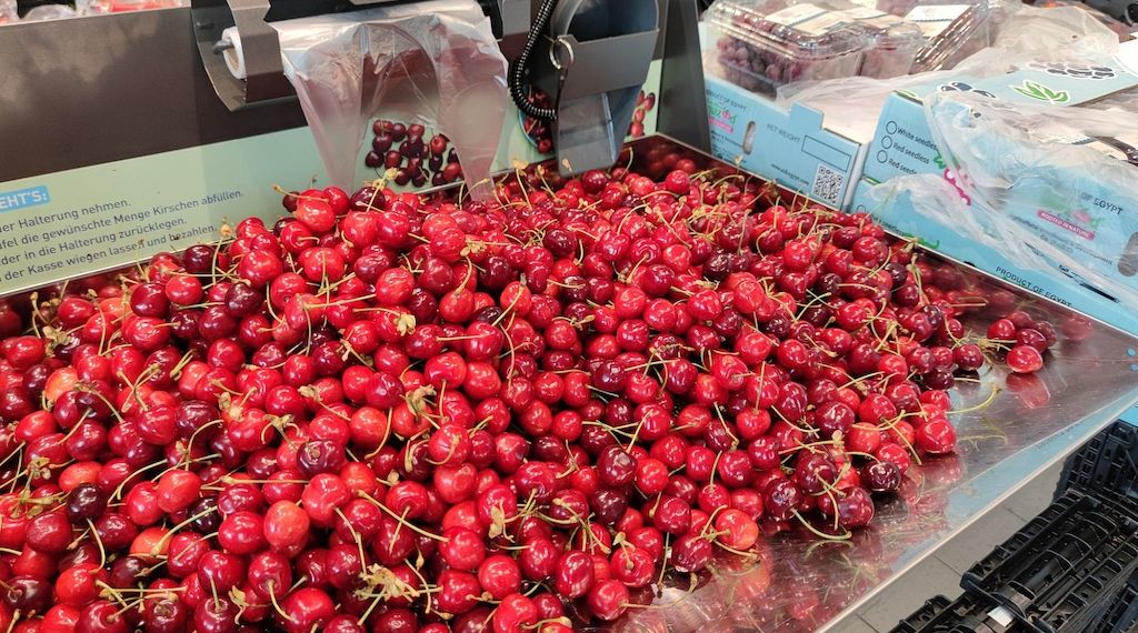 Baumobstbetriebe erzielen gute Kirschenernte