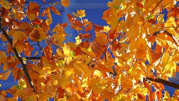 Wetterbericht für Bayern (12.11.2025)