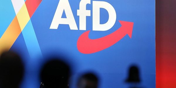 Meinungsforscher: Zu große Putin-Nähe schadet AfD
