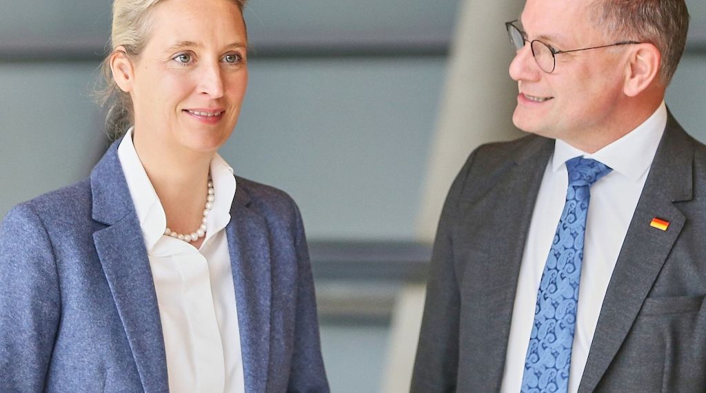 Umfrage: Enttäuschung über Regierungspolitik stärkt AfD am meisten