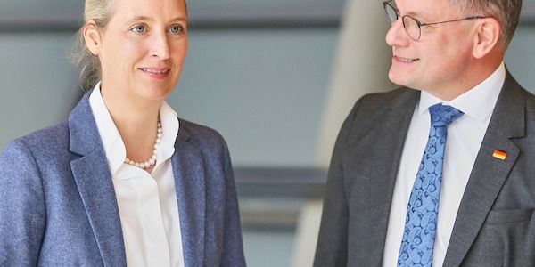 Umfrage: Enttäuschung über Regierungspolitik stärkt AfD am meisten