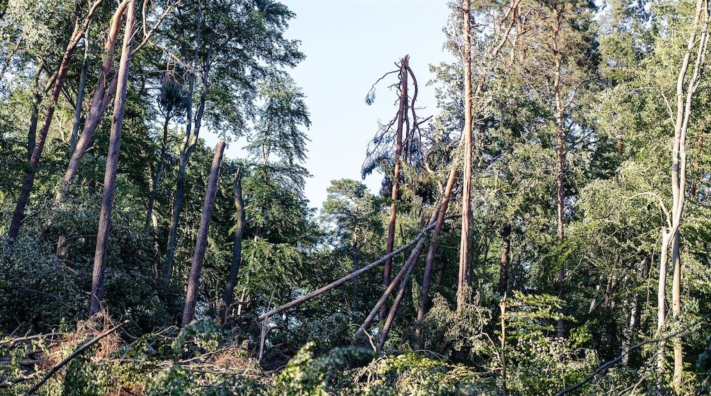 Sperrung von Tegeler und der Spandauer Forst verlängert